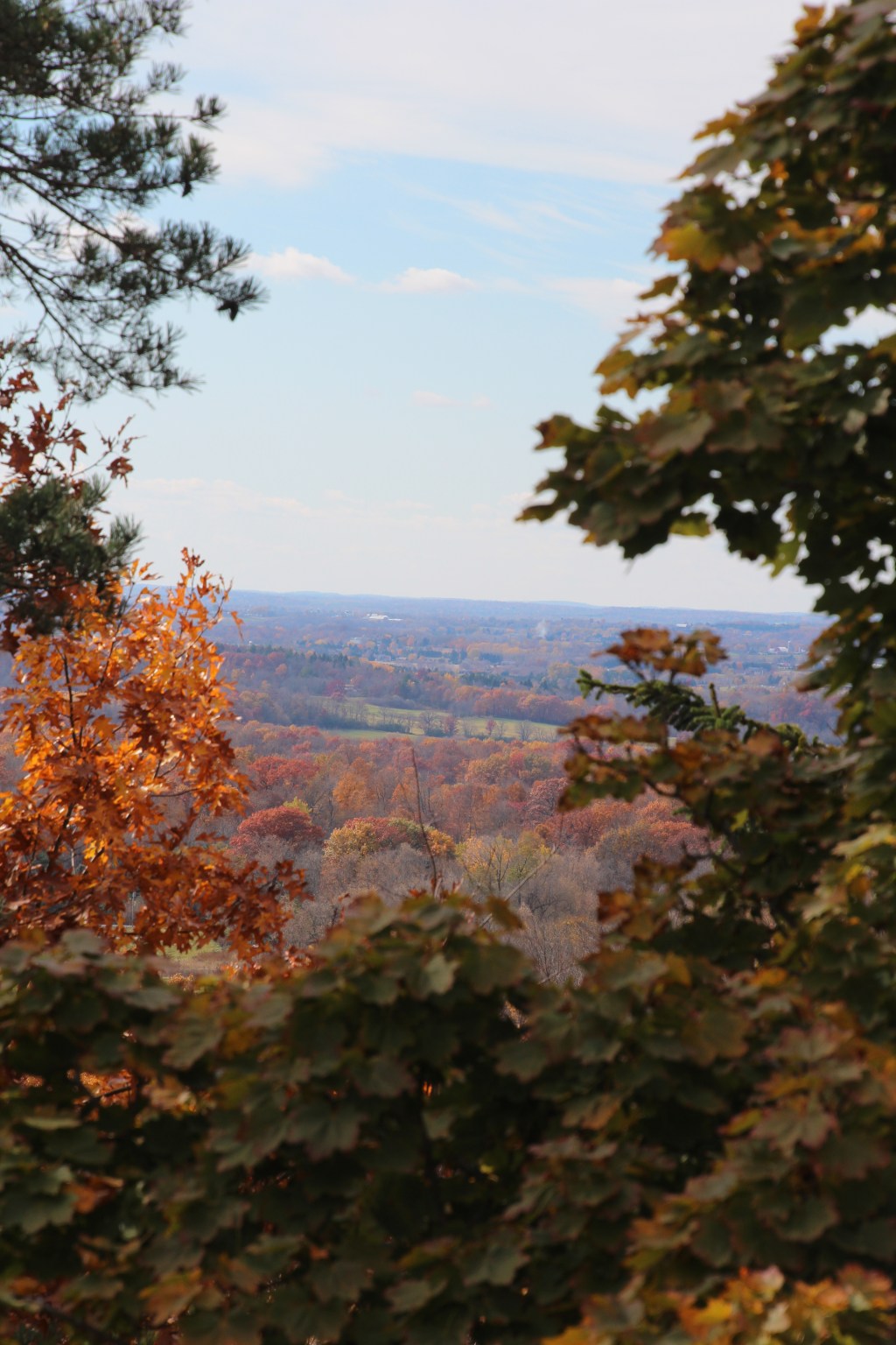 Oh, Monday. And NaNoWriMo. And Other Assorted&nbsp;Bits.