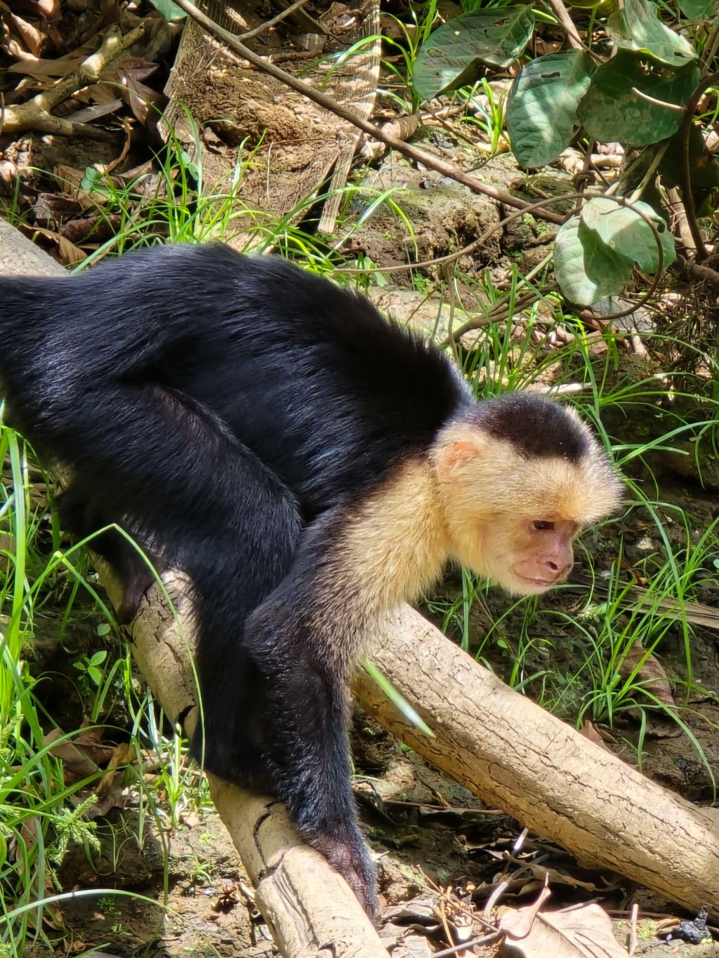 #MondayThoughts: Hellllooooooooo!